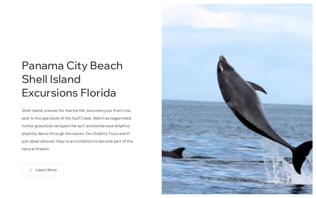 Panama City Beach Shell Island Excursions Florida